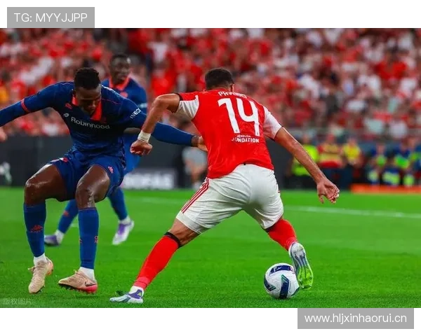 [法甲]第11轮：尼斯V里尔.